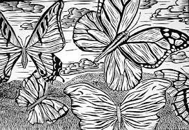 Mark Ciocca: North Eastern PA, Artist