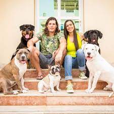 Include brushes that can comfortably smooth out a cat or dog's fur while removing excess hairs that are being shed. Royal Pets Grooming Salon Spa Home Facebook