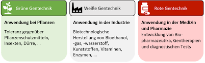 So wird beispielsweise fortwährend an der züchtung neuer pflanzensorten mittels konventioneller verfahren oder gentechnik gearbeitet. Gentechnik In Der Medizin Wegbereiter Fur Innovation Amgen