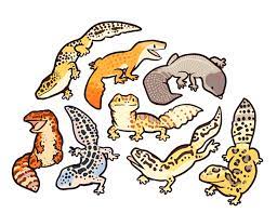 Maybe you would like to learn more about one of these? Quick Pattern With Cute Geckos For Free Non Commercial Use If You Re Into The Cutes Just Y Know If You Do Give Credit Or L Cute Drawings Cute Art Cute Gecko