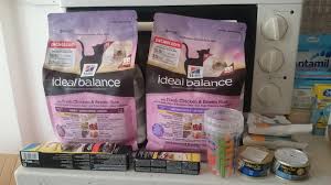 Hills Ideal Balance Kedi Mamasi Yorum Kedili Bir Hayat Yasanmaya Daha Cok Deger
