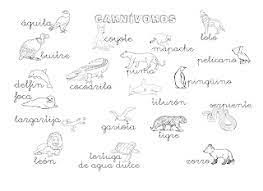 Que Puedo Hacer Hoy Animales Carnivoros Ejemplos Animales Carnivoros Animales Herbivoros Carnivoros