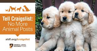 Das ist das neue ebay. Urge Craigslist To Ban Animal Posts Animal Legal Defense Fund