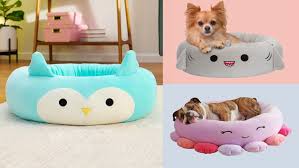 Parts of CNY under a Tornado Watch