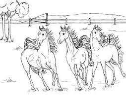Bij ons vind je meer dan 1800 kleurplaten van o.a. Paarden Kleurplaten Animaatjes Nl