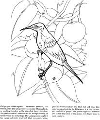 You can search several different ways, depending on what information you have available to enter in the site's search bar. Mockingbird Coloring Page Coloring Home