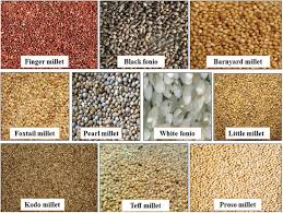 This millet oatmeal is a great way to start your day, featuring a little coconut and a delightful berry compote. Millet Starch A Review Sciencedirect