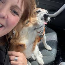 Beach Tales & Dog Tails by Jen