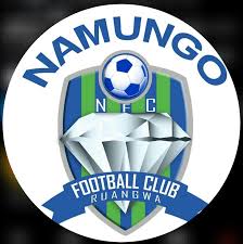 Nembo ya Timu Ya Namungo FC
