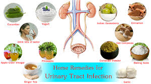 Urinary Tract Infection Treatment Over The Counter Top 5 Home Remedies For Uti Topic Highlights 1 Urinary Tract Infection Symptoms Uti Causes 1 1 Symptoms Of Uti 1 2 Causes Of Uti 2 What Is The Best Bladder Infection Treatment Top Home