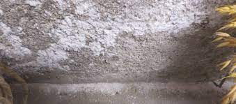 Efflorescence is commonly found on concrete surfaces. Identifing Efflorescence And Mold Growth Environix