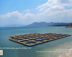 Aquatec Keramba Jaring Apung Kja Hdpe Aquatec Perusahaan Terlengkap Untuk Peralatan Kelautan Dan Perikanan Buatan Anak Bangsa Perahu Dermaga Indonesia