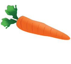  31 Fruits Carrot Image Clipart Ideas