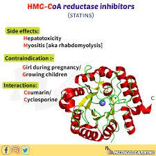 Hmg Coa Reductase Inhibitors Pharmacology English Lessons Grown Children