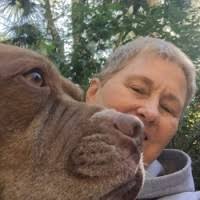 40+ "Laurie Conley" profiles