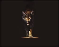 40 Beautiful Free Wolf Wallpapers For Desktop Wolf Spirit Animal Wolf Wallpaper Angry Wolf