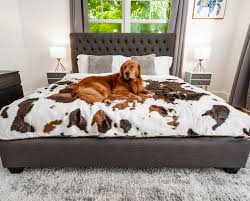Shop online for unique cowhide throw blankets. Pupprotector Waterproof Throw Blanket Brown Faux Cowhide Brown Throw Blanket Faux Cowhide White Throw Blanket