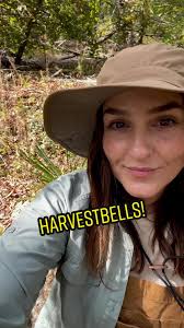 Gadsden Stream Plant