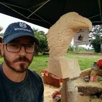 100+ "Elvis Ribeiro" profiles