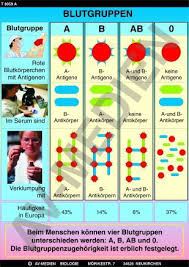 Blutgruppen A B Ab 0 Positiv Und Negativ Die Struktur Der Roten Blutkorperchen Bestimmt Die Blutgruppe Die Wichtigste Blutgruppe A Blutgruppe Blutgruppen