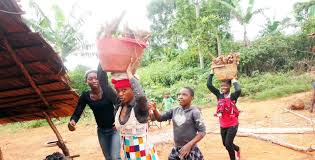 Est Un Projet De Transformation Du Manioc Porteur D Espoirs Pour Andom The Farmer S Voice