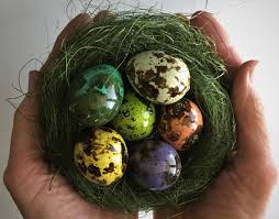 Easter Decoration Set Of 6 Real Quail Eggs Speckled Quail Easter Egg Decorating Easter Decorations Hand Decorated