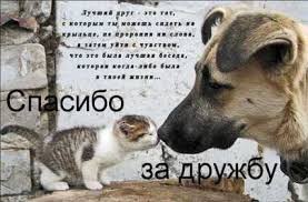 На побережье каспия прошли концерты «фестивальные открытки» одновременно на двух площадках, трансляция выступлений велась в youtube, на канале рднт и социальных сетях. S Dnem Druzhby 2018 Pozdravleniya Prikolnye Kartinki Otkrytki Obozrevatel