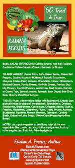 60 Tried And True Favorite Foods Of My Iguanas Iguana Food Iguana Care Green Iguana