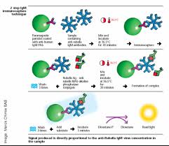 Nov 17, 2020 · how luminol works luminol and hydrogen peroxide are combined. How Do Chemiluminescent Assays Work