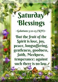 Pin By Nancy S Recipes And More On Clear C L Scriptures Fruit Of The Spirit Blessed Kjv