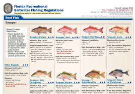 Freshwater fishing and saltwater fishing rules and regulations in florida can be found here. Recreational Marine Fishing Registration Off 71 Medpharmres Com