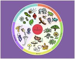 An Overview On The Five Kingdom Classification
