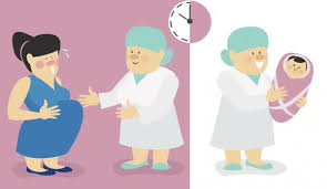 Being a future mom and feeling a. 514 Giving Birth Vector Images Free Royalty Free Giving Birth Vectors Depositphotos