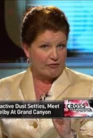 The Onion News Network" Asteroid Heads to Earth (TV Episode 2011)