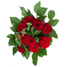 We did not find results for: Buchet 9 Trandafiri Rosii Emag Ro