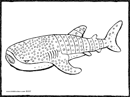 By scrolling through this page, you can get the collection of the whale coloring pictures with no charge. Animals Colouring Pages Page 8 Of 12 Kiddicolour