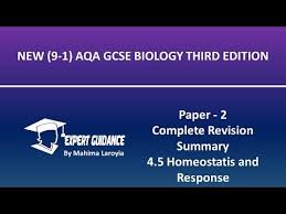 4 5 Homeostasis And Response Aqa Gcse Biology Paper 2 Complete Revision Summary Youtube In 2020 Gcse Chemistry Chemistry Paper Gcse Biology Revision