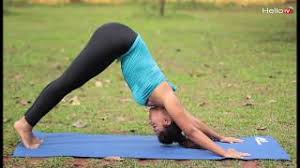 Increasing height is easier for the kids compared to adults. Hot Yoga Increase Your Height By Doing Surya Namaskar Youtube