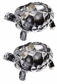 We also offer a large selection of tortoise supplies. Prax Feng Shui Vastu Crystal Tortoise Home Decor Buy Prax Feng Shui Vastu Crystal Tortoise Home Decor Online At Best Prices In India Flipkart Com