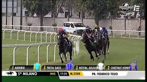Premio Federico Tesio 2019 Gr Ii Milan San Siro 1 Chestnut Honey Mb3 Branca Fabio A Botti 2 12 6 San Siro Chevaux De Course Cheval Galop