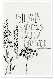 Pin Von Monika Auf Blumen Zitate In 2020 Blumen Zitate Blumen Spruch Spruche Garten