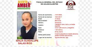 Reglamento del protocolo de seguridad del codigo adams. Amber Alert Objetivo7 Prensa Libre Fehlende Person Fotografie Alerta Bernstein Alarm Person Png Herunterladen 1000 500 Kostenlos Transparent Text Png Herunterladen