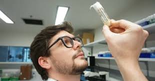 Corteva Agriscience and Symborg Announce Agreement