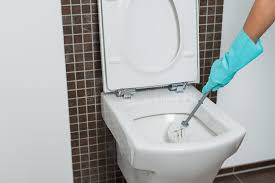 We did not find results for: Person Cleaning Under The Rim Of A Toilet Bowl Stock Image Image Of Germs Maid 35159621