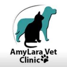 A personal approach experienced veterinarians. Amy Lara Veterinary Clinic 43 Malahide Road Artane Reviews And Appointments Topvet