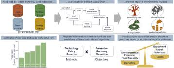 Pest is an acronym for political, economic, social and technological. A Systems Approach To Assessing Environmental And Economic Effects Of Food Loss And Waste Interventions In The United States Sciencedirect