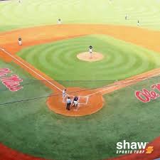 Shaw sports turf knows that baseball is a purist's game. Shaw Sports Turf Photos Facebook