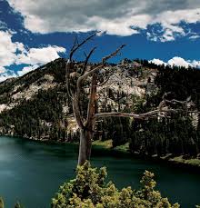 Annual Report FINAL FINAL.indd