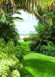 Ilha Paradisiaca No Caribe Esta A Venda Por Us 85 Mi It S A Green Green World Pinterest Landschaft Schone Orte And Reiseziele