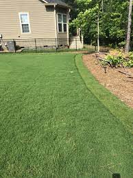 If you are unable to see the mathematica models below, you can download the free wolfram cdf player and. Bermuda Grass Late Scalp Summer Recovery Lawnsite Is The Largest And Most Active Online Forum Serving Green Industry Professionals